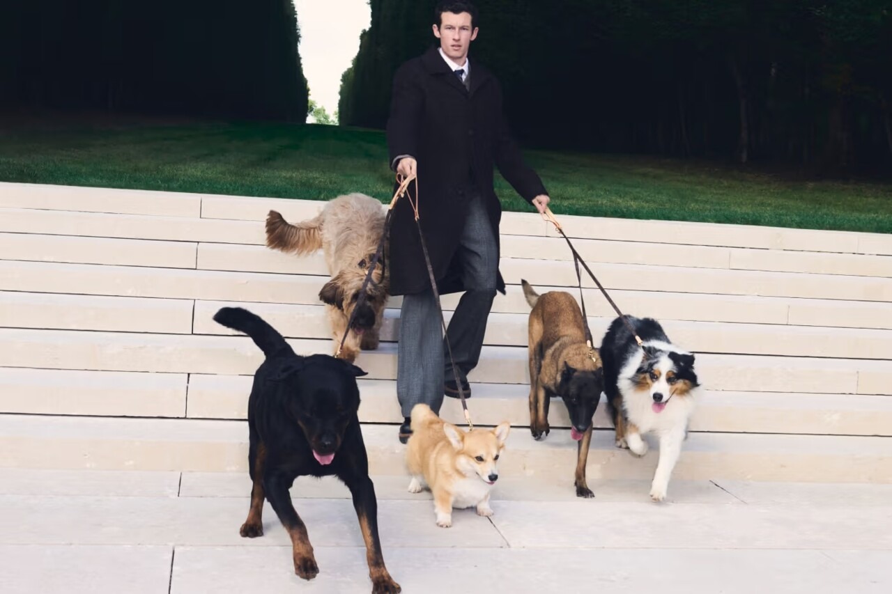 Callum Turner protagoniza a campanha “Dog Collection 2026” da Louis Vuitton